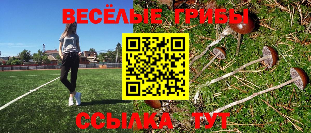 Якутск  Галлюциногенные грибы MAGIC MUSHROOMS  Вход с VPN 